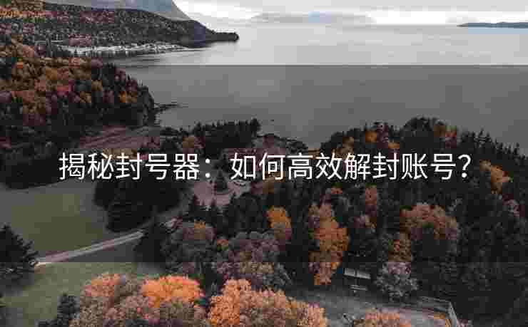 揭秘封号器：如何高效解封账号？