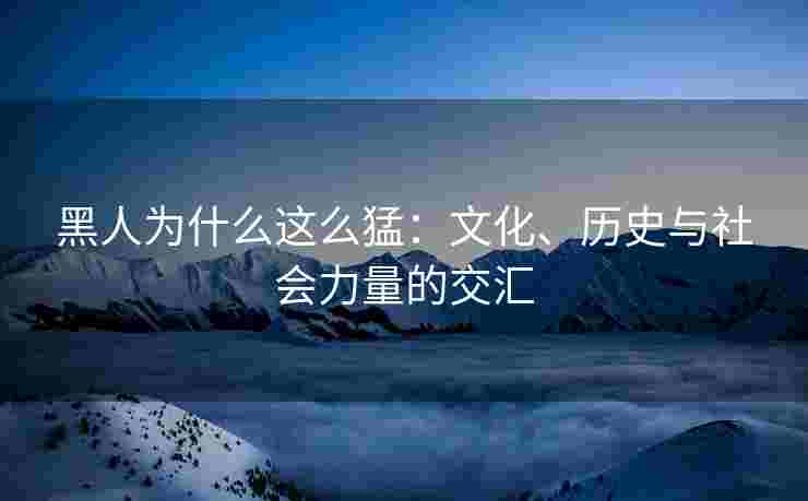 黑人为什么这么猛：文化、历史与社会力量的交汇