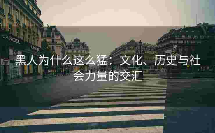 黑人为什么这么猛：文化、历史与社会力量的交汇