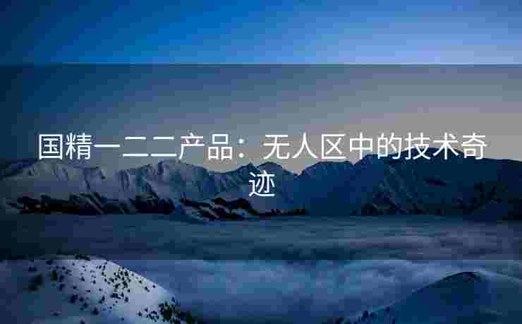 国精一二二产品：无人区中的技术奇迹