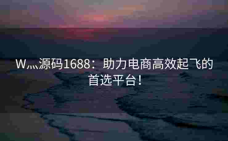 W灬源码1688：助力电商高效起飞的首选平台！