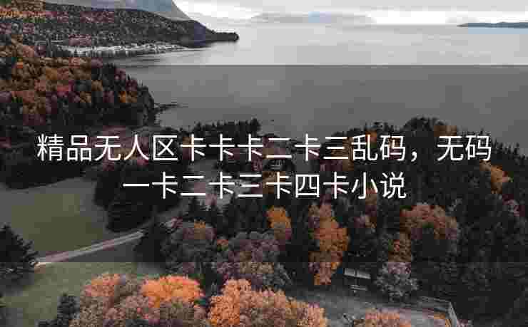 精品无人区卡卡卡二卡三乱码，无码一卡二卡三卡四卡小说