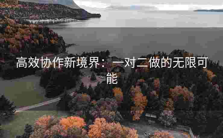 高效协作新境界：一对二做的无限可能