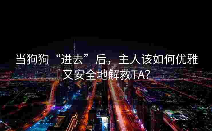 当狗狗“进去”后，主人该如何优雅又安全地解救TA？