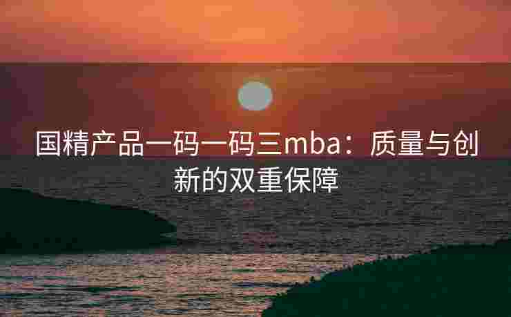 国精产品一码一码三mba：质量与创新的双重保障