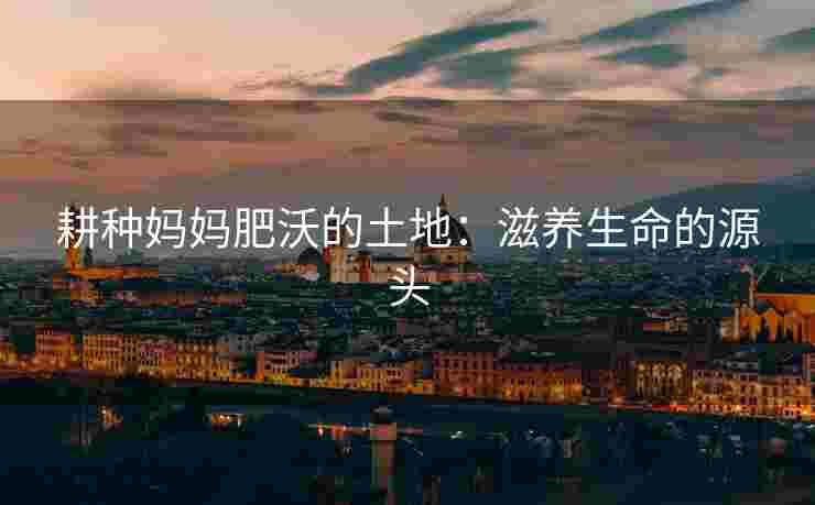 耕种妈妈肥沃的土地：滋养生命的源头