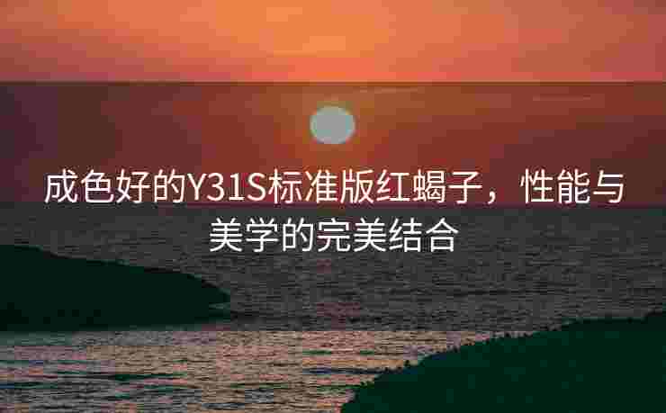 成色好的Y31S标准版红蝎子，性能与美学的完美结合