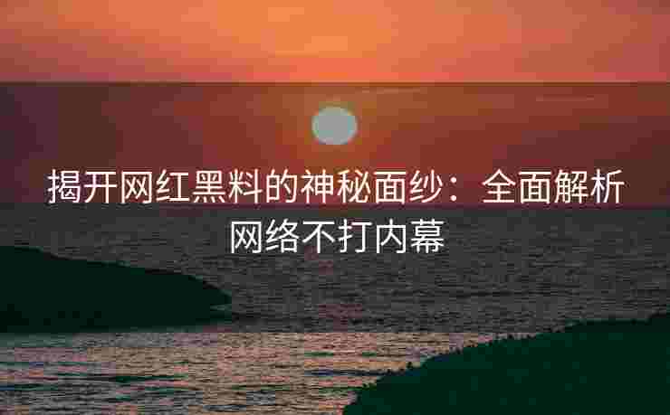 揭开网红黑料的神秘面纱：全面解析网络不打内幕