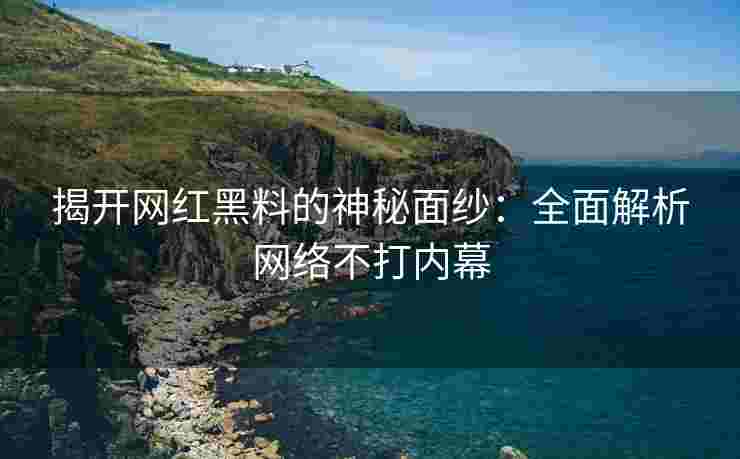 揭开网红黑料的神秘面纱：全面解析网络不打内幕