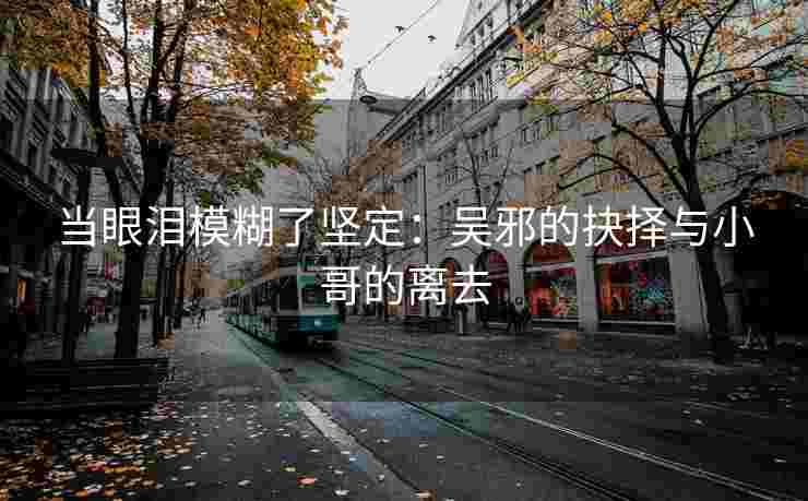 当眼泪模糊了坚定：吴邪的抉择与小哥的离去